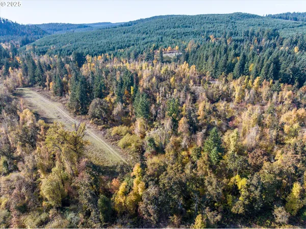 $299,000 | Siuslaw River Road, Lorane, OR 97451