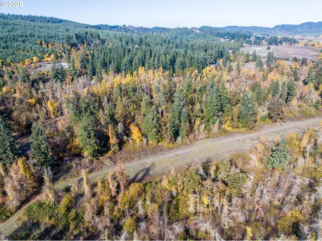 a view of a bunch of trees and bushes