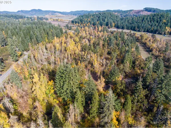 $299,000 | Siuslaw River Road, Lorane, OR 97451