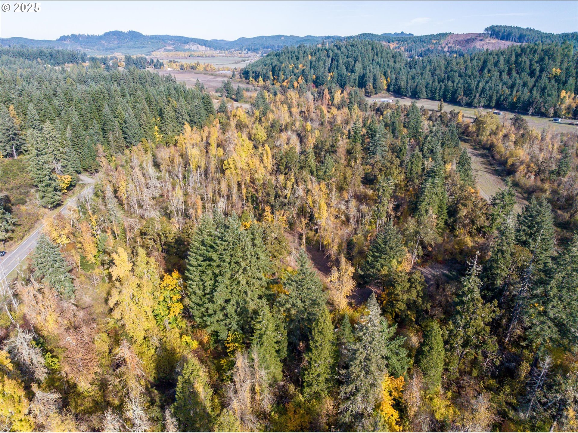 Siuslaw River Road Lorane, OR 97451 - Photo 29 of 41
