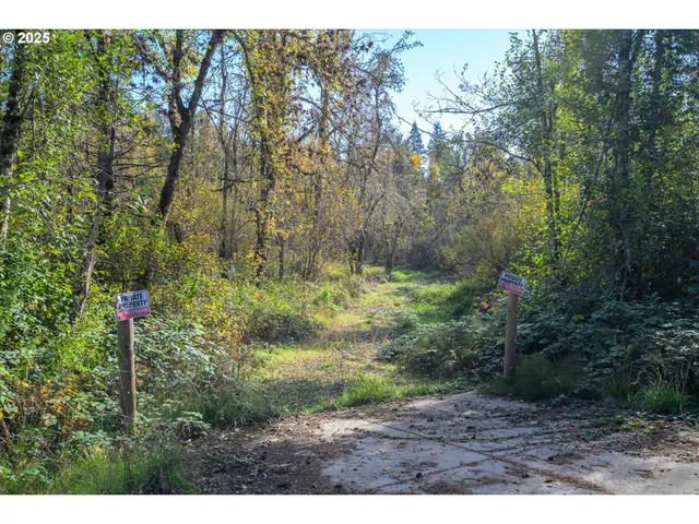 a view of outdoor space and yard
