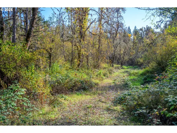 $299,000 | Siuslaw River Road, Lorane, OR 97451