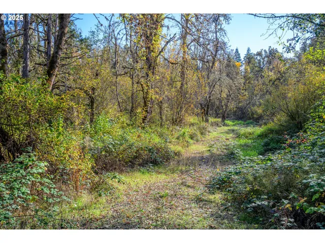a view of outdoor space and trees