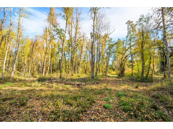 $299,000 | Siuslaw River Road, Lorane, OR 97451