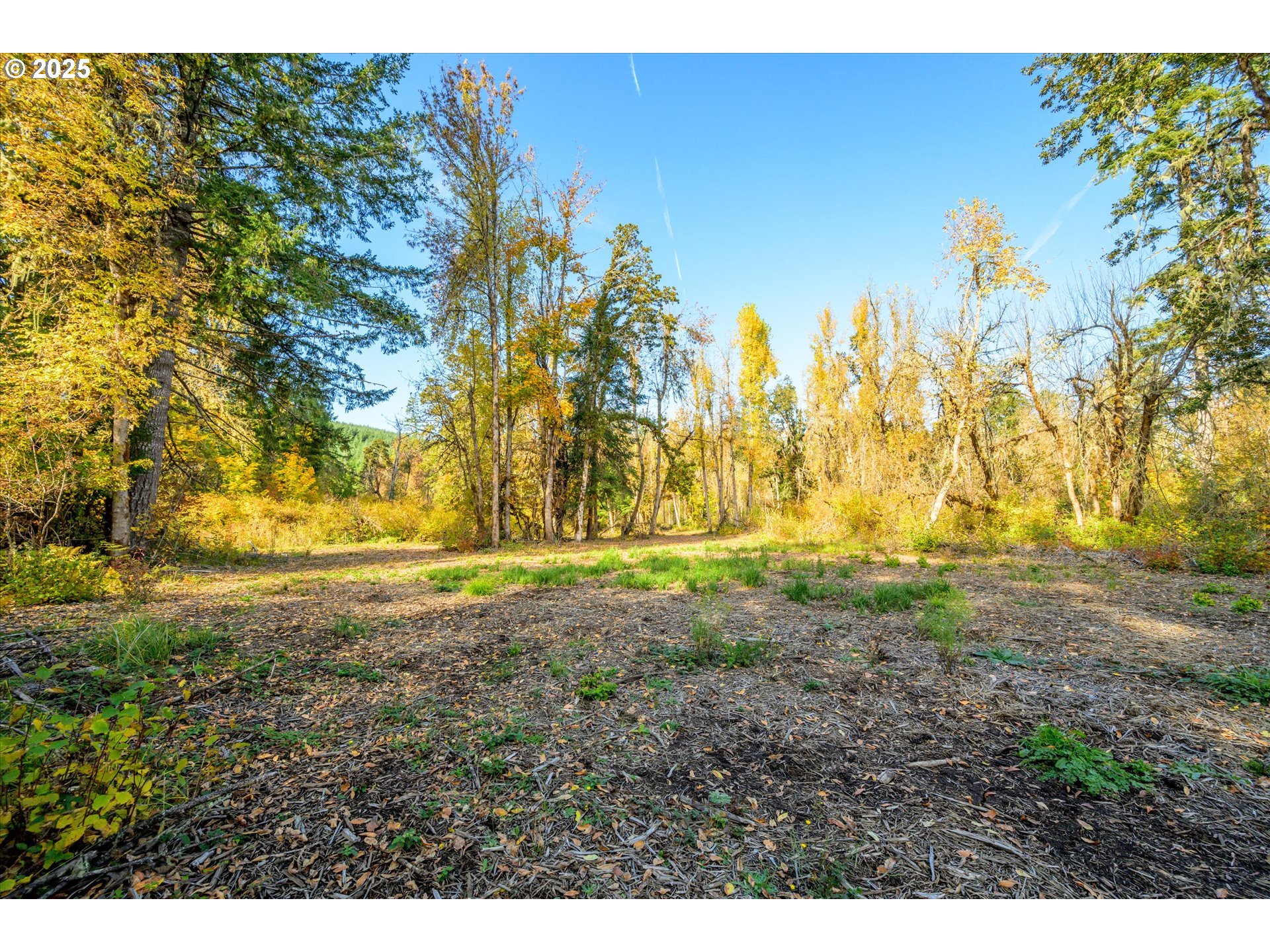 Siuslaw River Road Lorane, OR 97451 - Photo 10 of 41