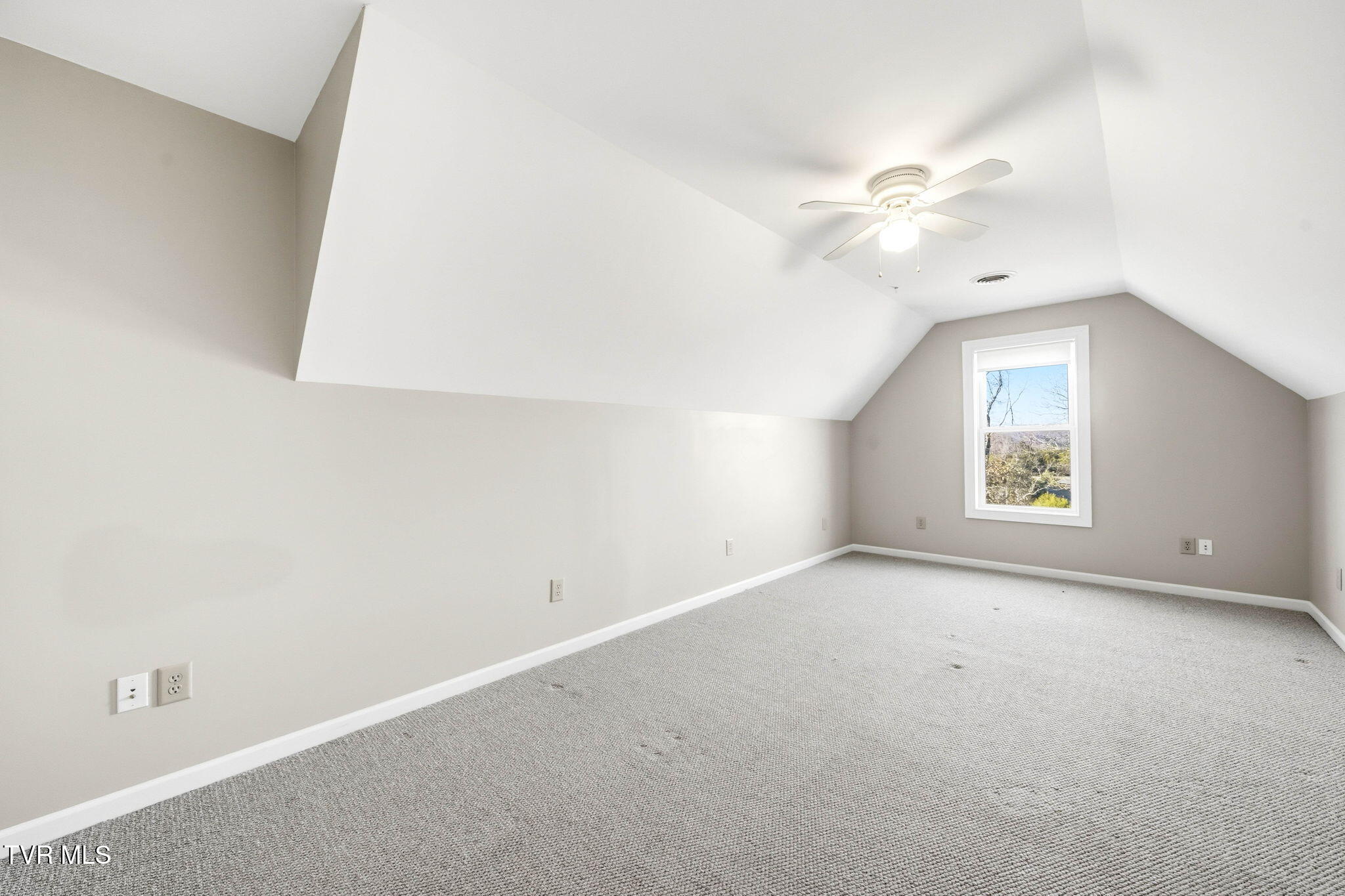 389 Worley Vance Road Bluff City, TN 37618 - Photo 30 of 59 25-web-or-mls-389 Worley Vance_Rd-30