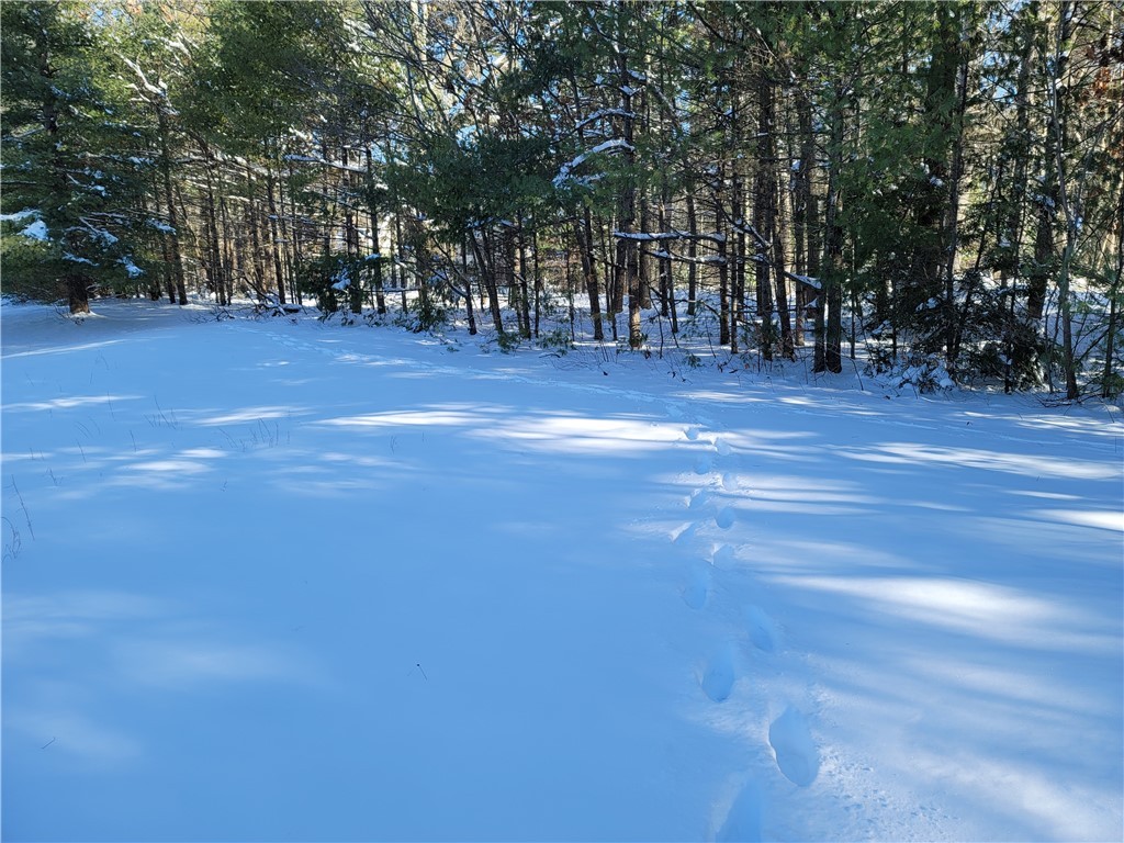 520 Sherman Farm Road Burrillville, RI 02830 - Photo 4 of 5 Gallery Image 4