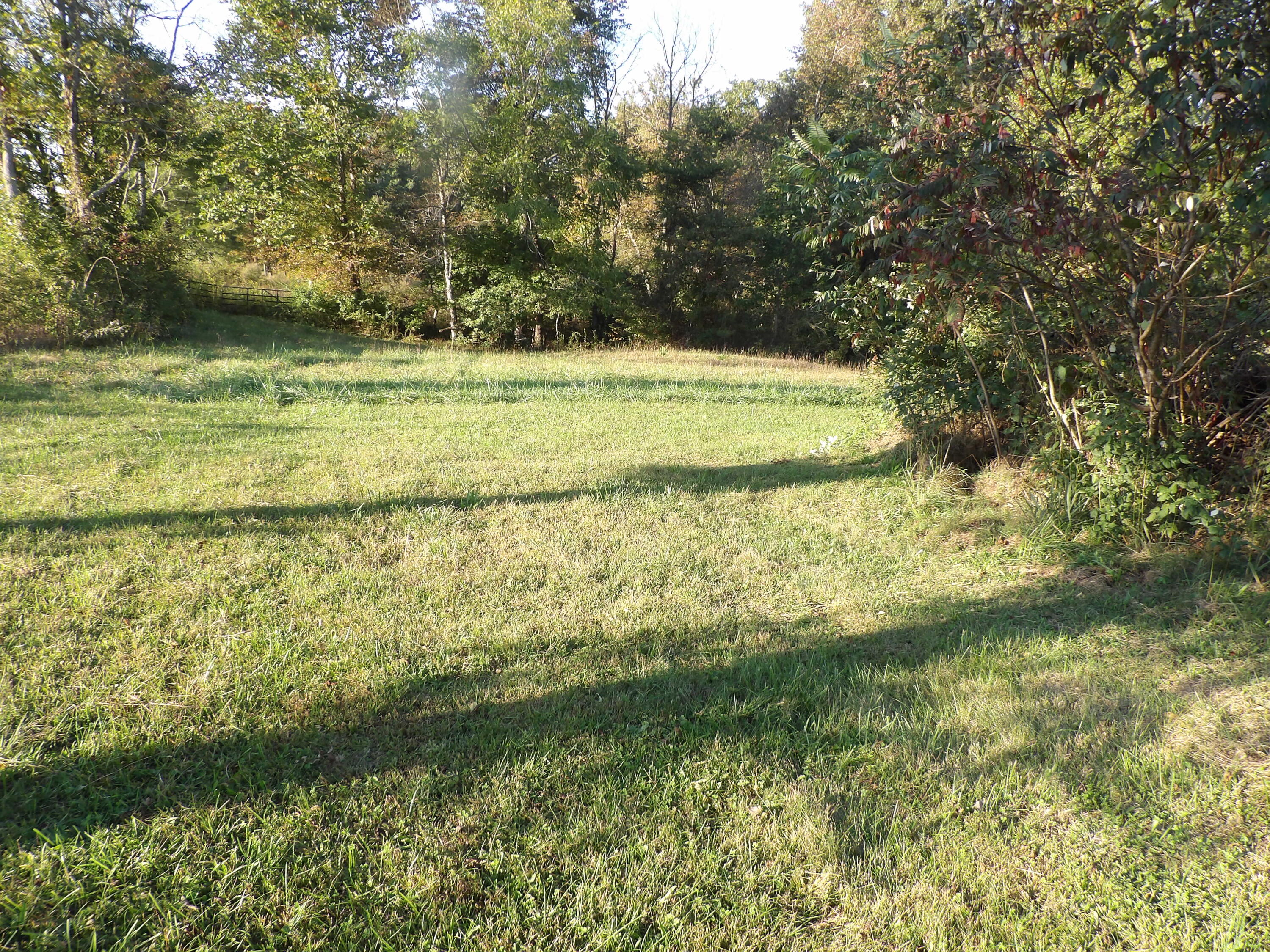 1161 Panter Bottom Road Pikeville, TN 37367 - Photo 5 of 19 100_3361