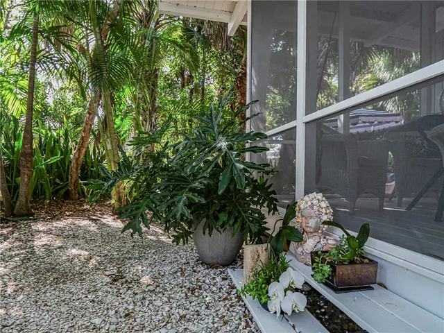 a view of a garden with a potted plant