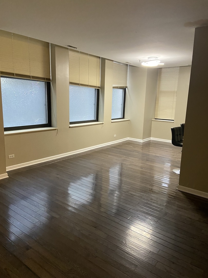 740 South Federal Street, Unit 404 Chicago, IL 60605 - Photo 3 of 14