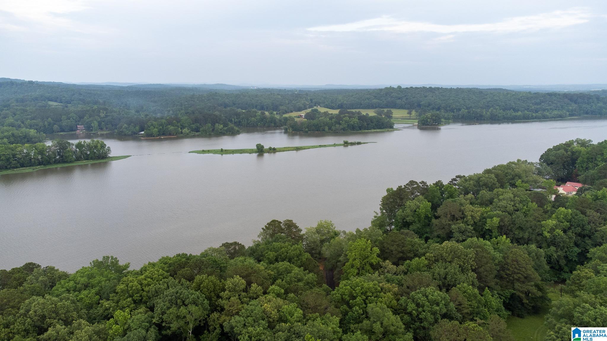 649 Tomahawk Trail Riverside, AL 35135 - Photo 13 of 45