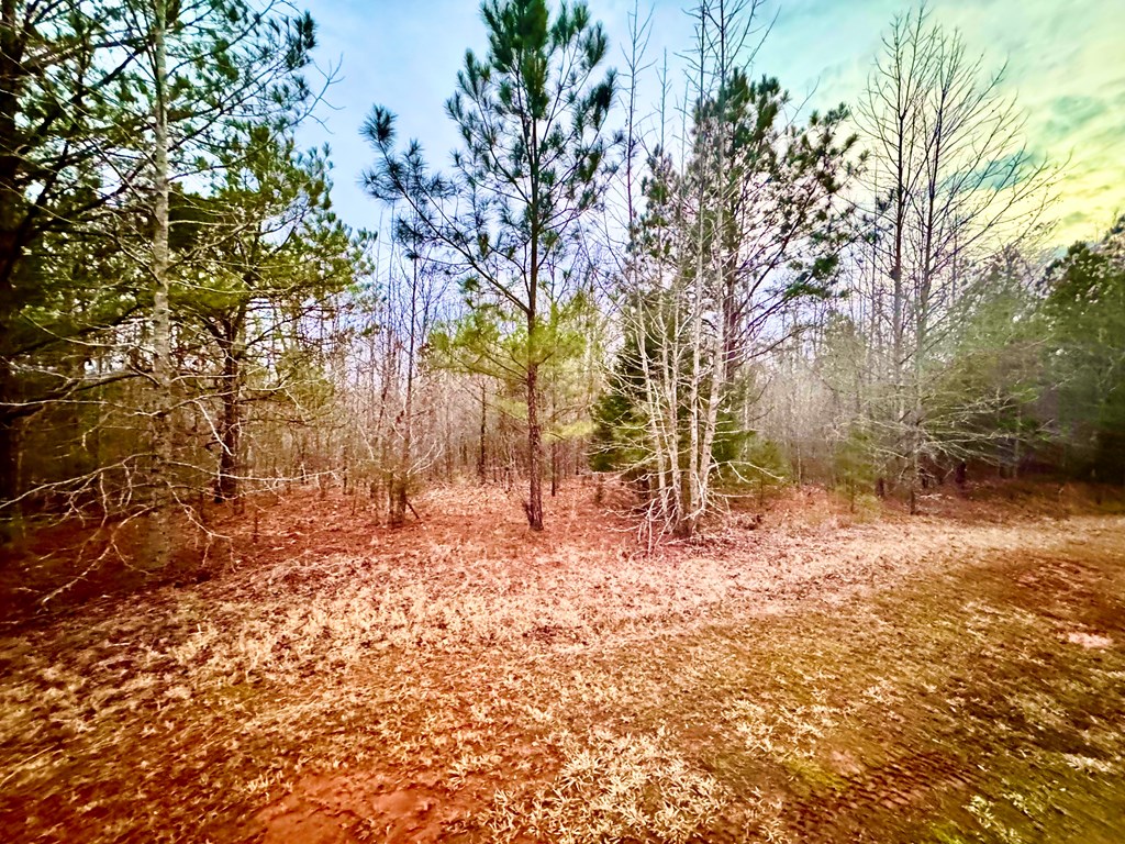 517 Terrapin Pointe Road Hodges, SC 29653 - Photo 4 of 29