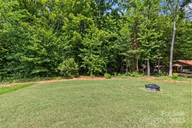 a view of a trees in a yard