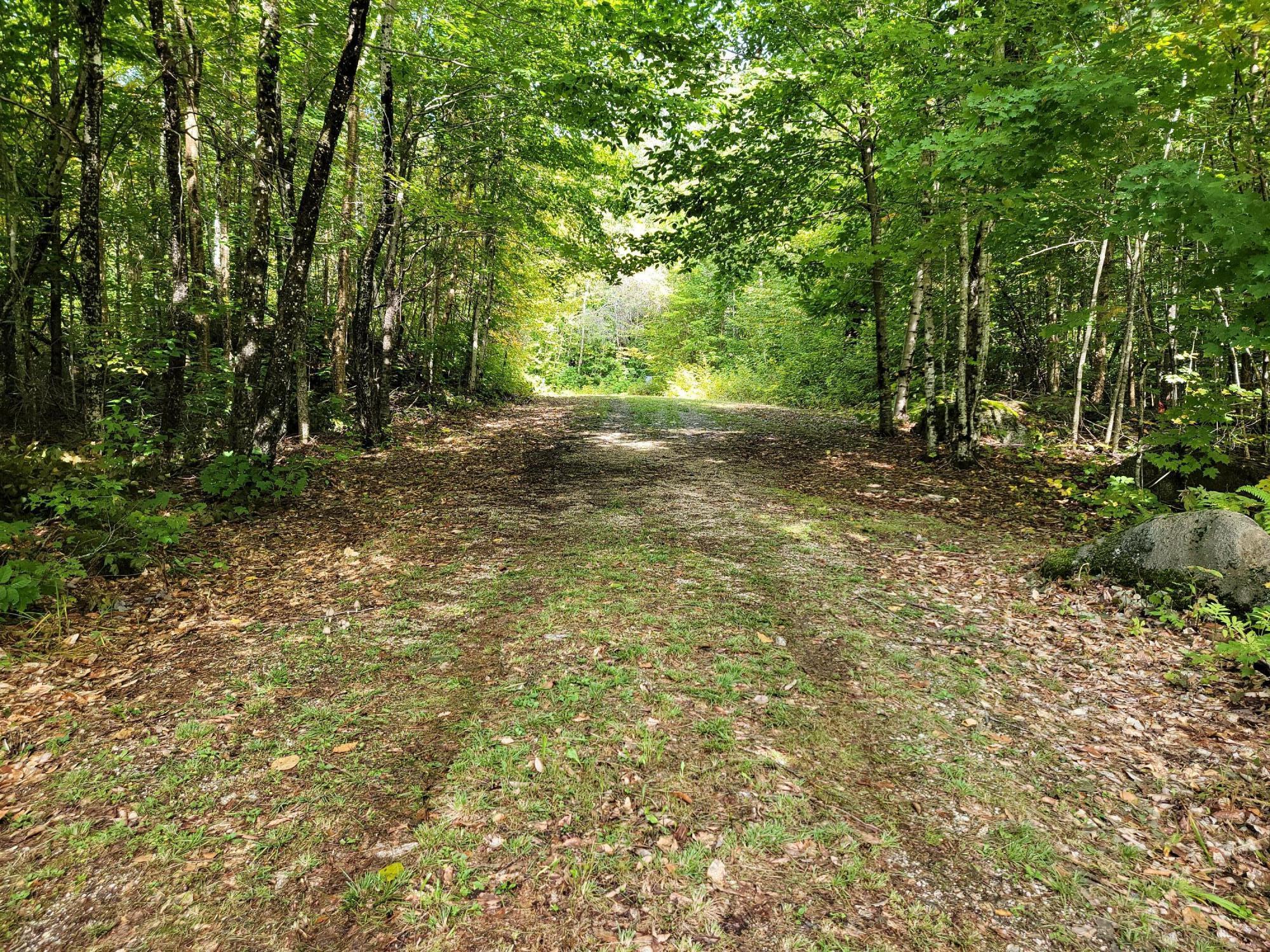 Lot 28 Mill Privilege Road Carroll Plt, ME 04487 - Photo 2 of 17 20210916_114626