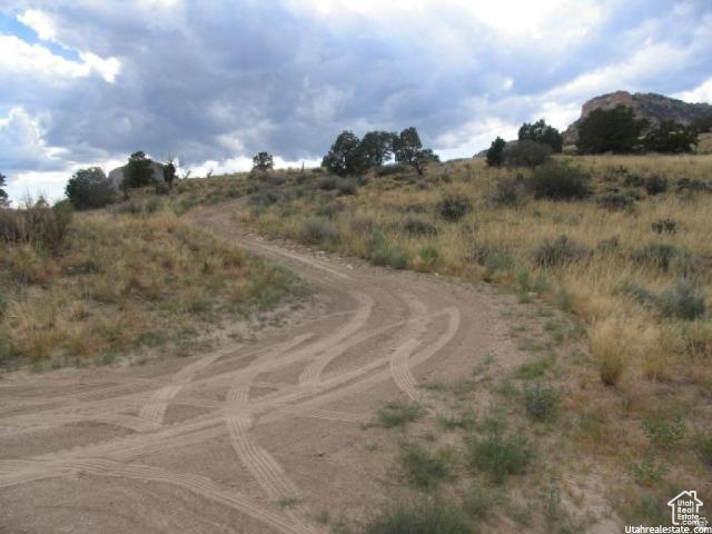 700 Spring Canyon Road Helper, UT 84526 - Photo 5 of 19 Expansive land parcel featuring an unpaved road, natural grass, and mature shrubs
