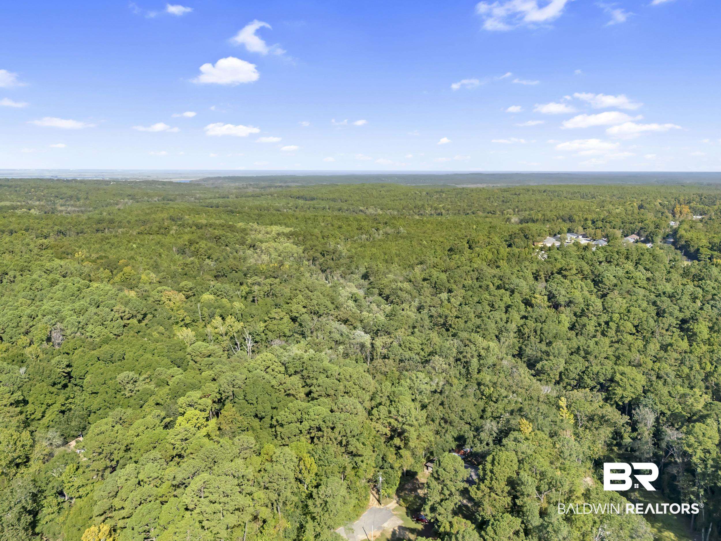 31215 Wilson Road Daphne, AL 36527 - Photo 8 of 34