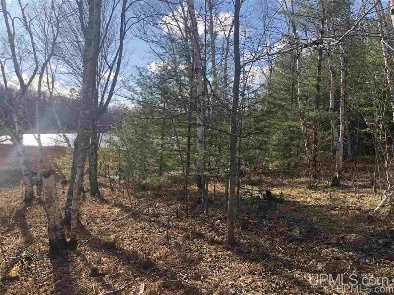 40 West Smith Lake Road Manistique, MI 49854 - Photo 1 of 24