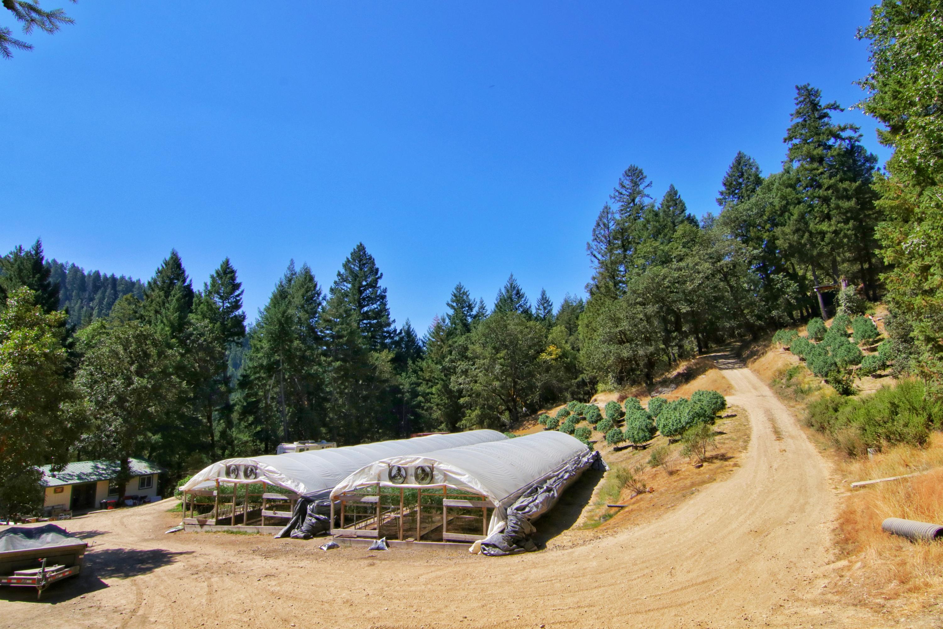 594 River Road Bridgeville, CA 95526 - Photo 1 of 1 Gallery Image 1