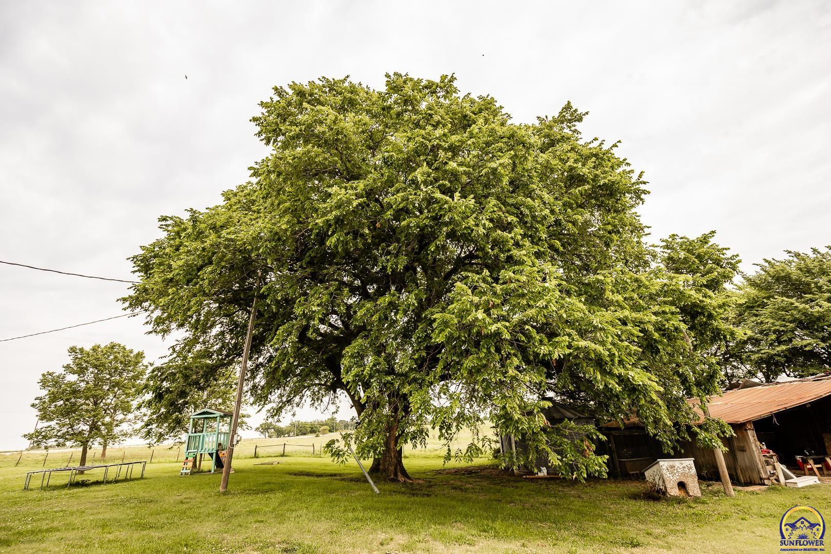 2626 Rd F Americus, KS 66835 - Photo 45 of 70