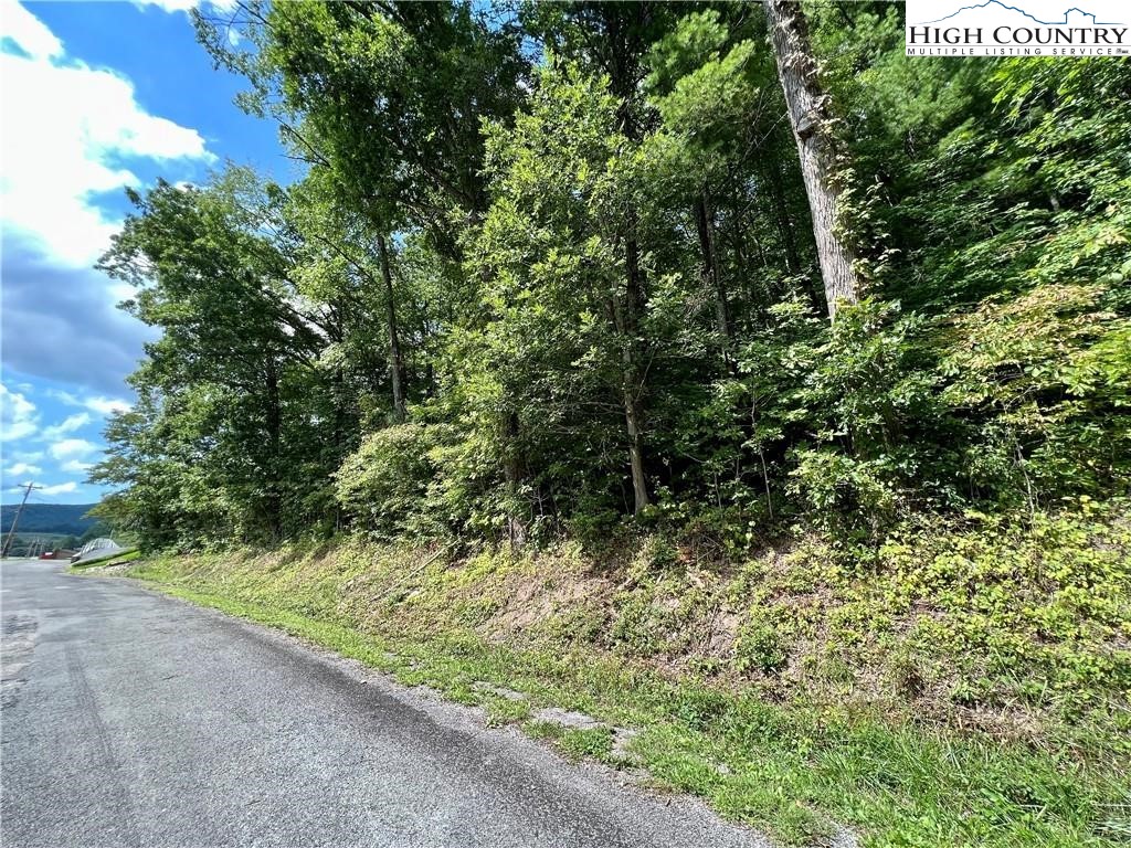 Rhea Rd Mountain Mountain City, TN 37683 - Photo 2 of 10