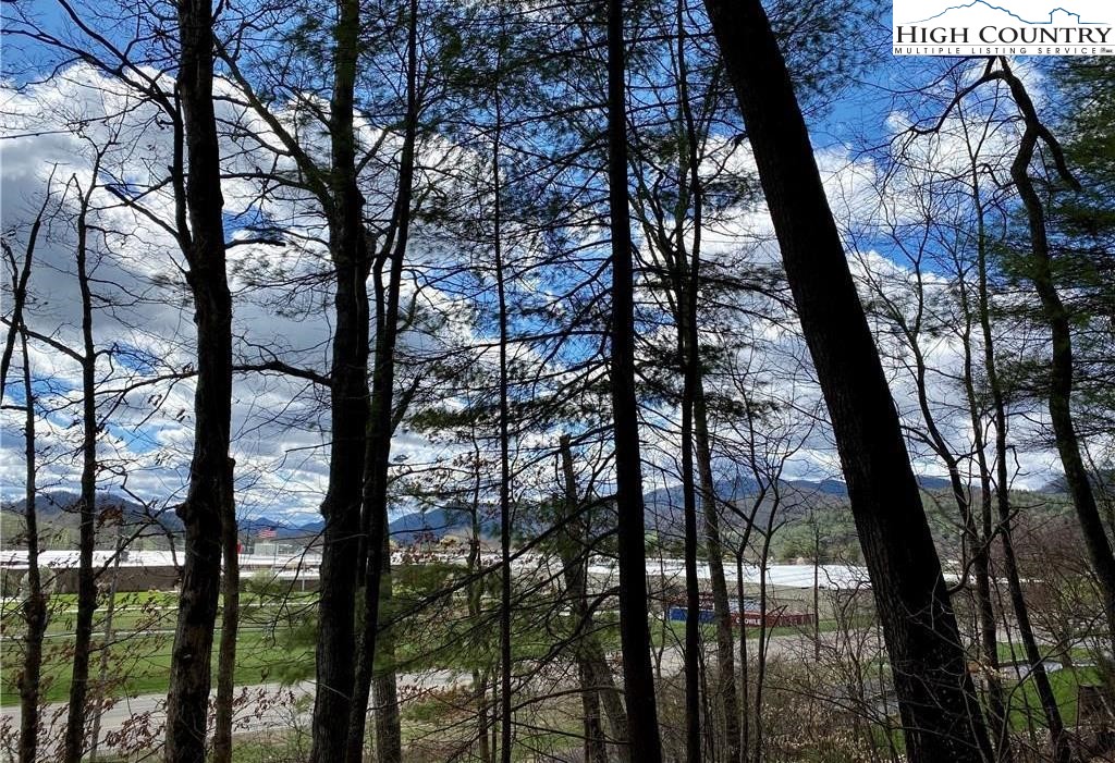 Rhea Rd Mountain Mountain City, TN 37683 - Photo 3 of 10
