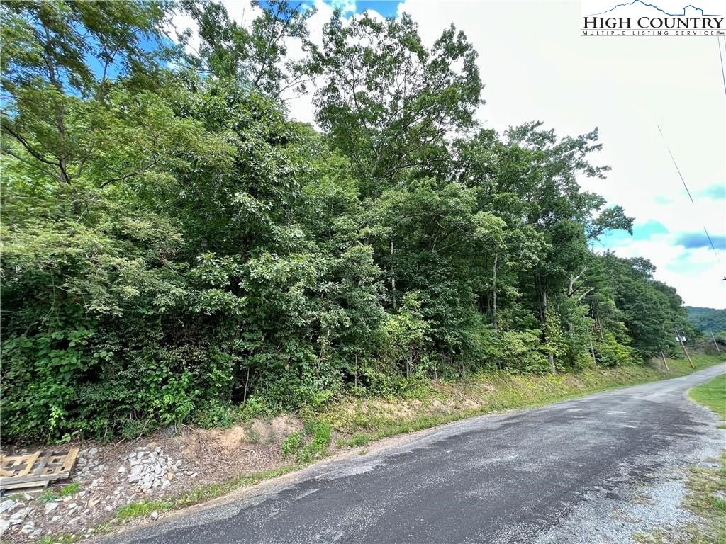 Rhea Rd Mountain Mountain City, TN 37683 - Photo 4 of 10