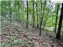 Rhea Rd Mountain Mountain City, TN 37683 - Photo 5 of 10