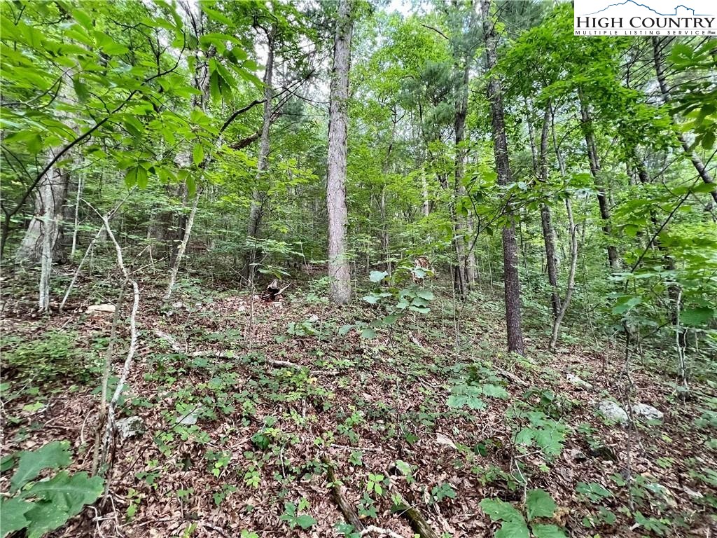 Rhea Rd Mountain Mountain City, TN 37683 - Photo 6 of 10