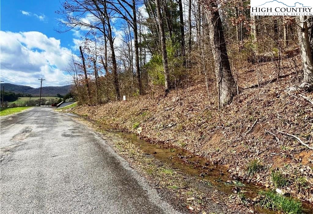 Rhea Rd Mountain Mountain City, TN 37683 - Photo 7 of 10