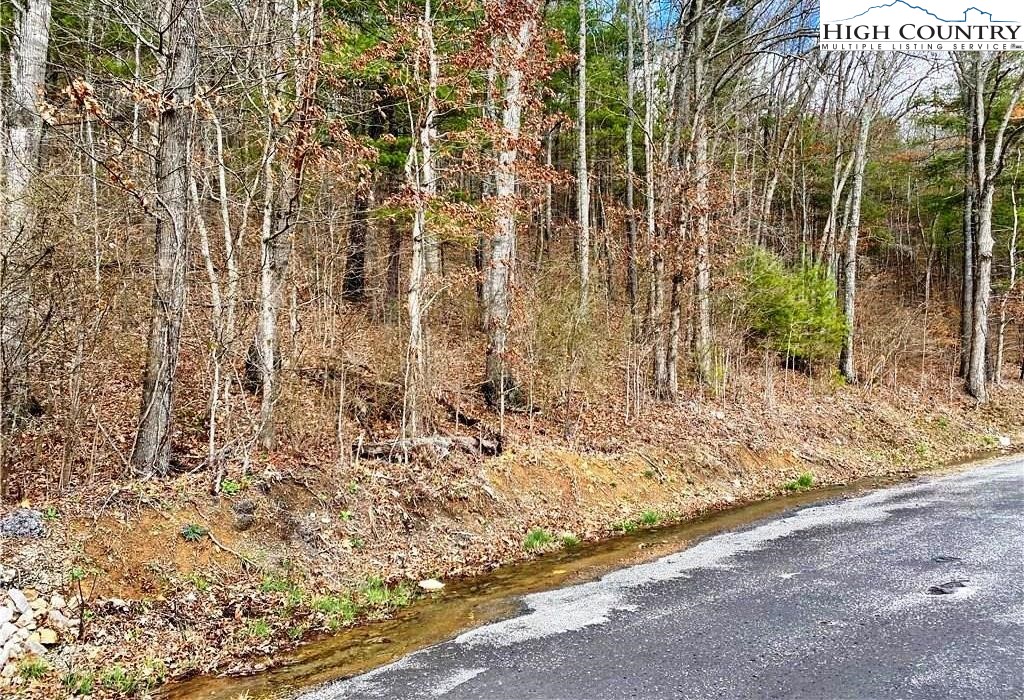 Rhea Rd Mountain Mountain City, TN 37683 - Photo 8 of 10