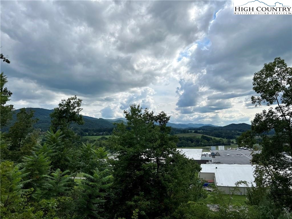 Rhea Rd Mountain Mountain City, TN 37683 - Photo 10 of 10