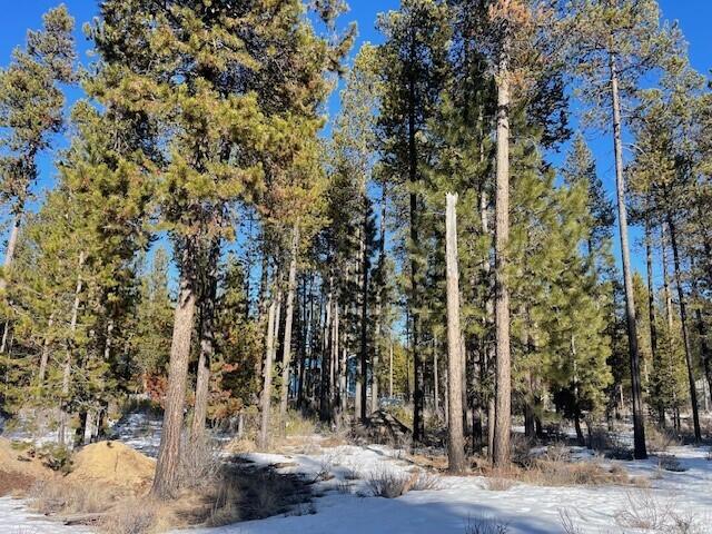 17062 Indio Road Bend, OR 97707 - Photo 5 of 10 5