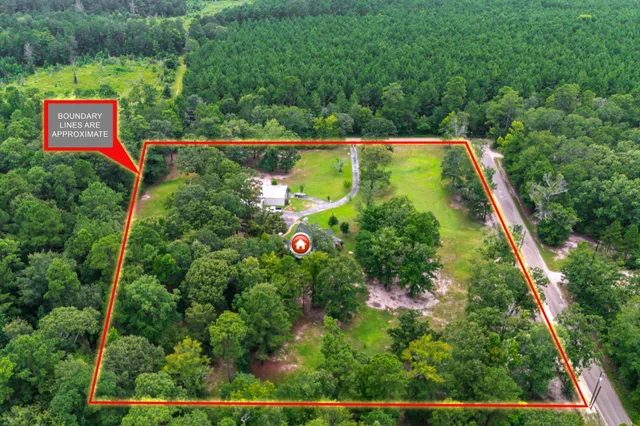 a view of a yard with plants