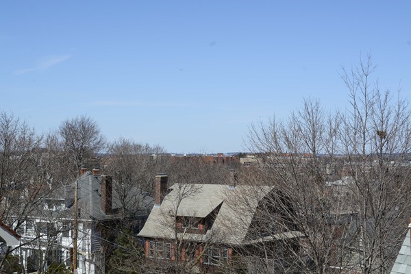 124 Winthrop Road, Unit 7 Brookline, MA 02445 - Photo 14 of 14