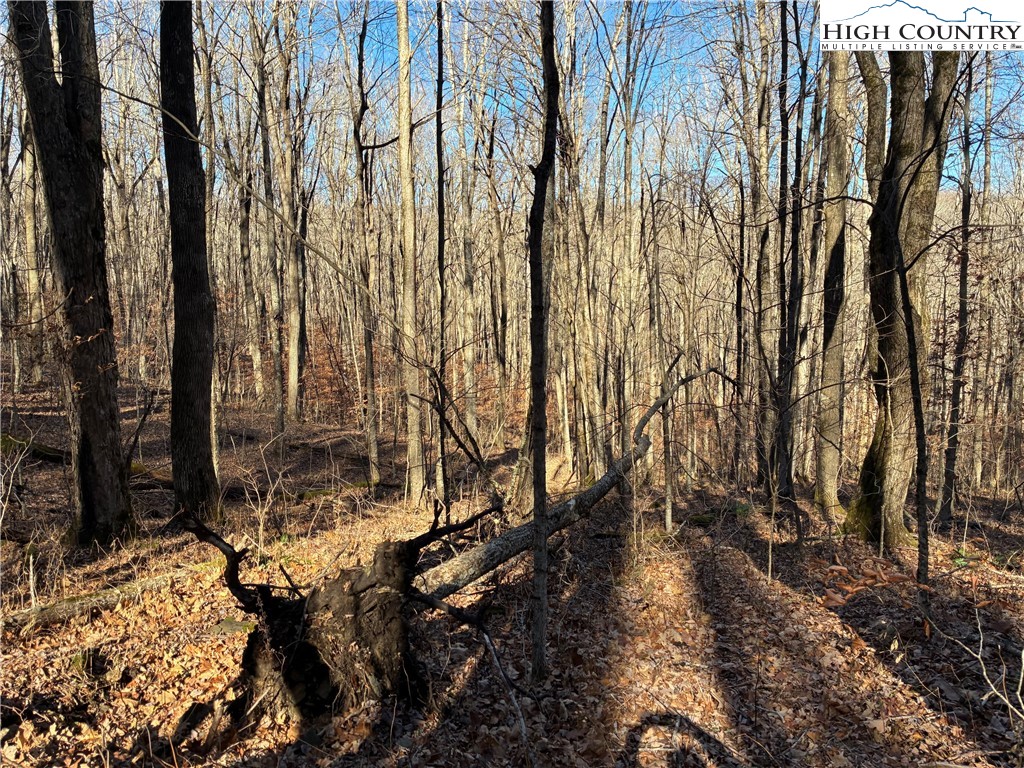 Wolfsbane Trail Todd, NC 28684 - Photo 11 of 29 a backyard of a house with lots of green space