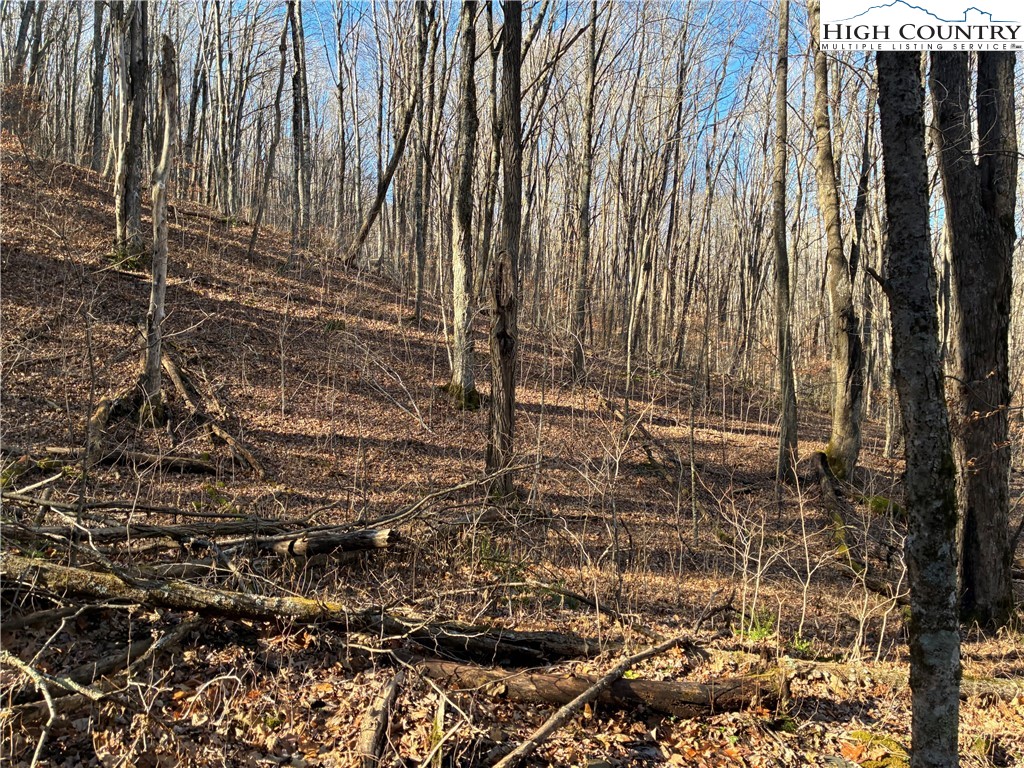 Wolfsbane Trail Todd, NC 28684 - Photo 12 of 29 a view of pathway with yard