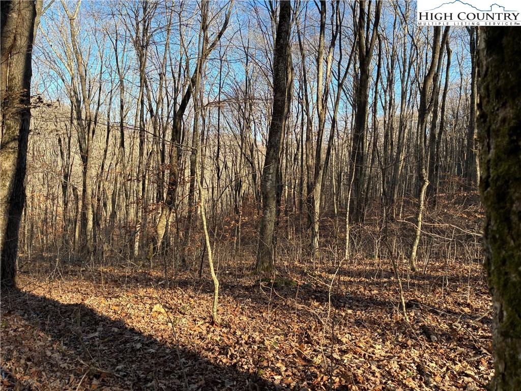 Wolfsbane Trail Todd, NC 28684 - Photo 14 of 29 a backyard of a house with lots of green space