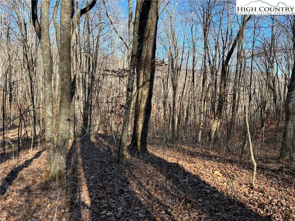 Wolfsbane Trail Todd, NC 28684 - Photo 15 of 29 a view of backyard with tree