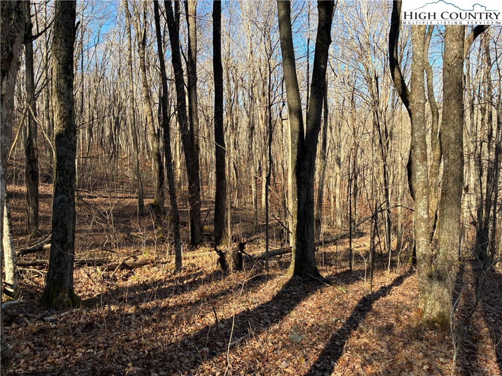 Wolfsbane Trail Todd, NC 28684 - Photo 16 of 29 a view of a backyard of the house