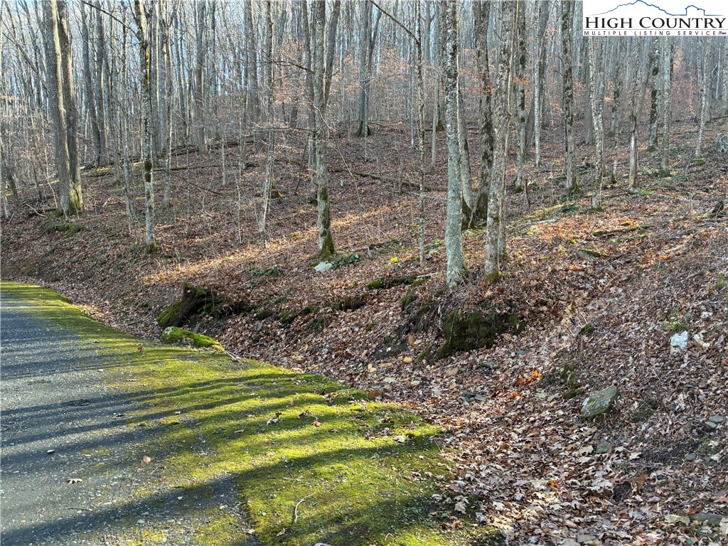 Wolfsbane Trail Todd, NC 28684 - Photo 2 of 29 a view of a garden with a wooden fence