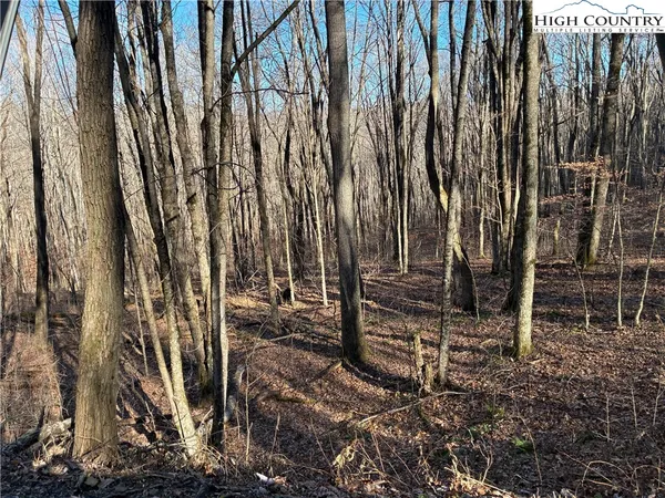 a view of outdoor space with wooden fence