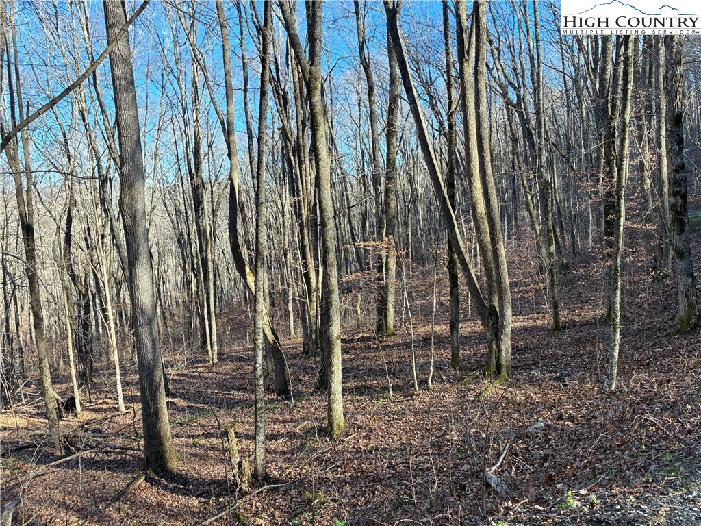 Wolfsbane Trail Todd, NC 28684 - Photo 6 of 29 a backyard of a house with lots of green space