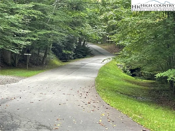 a view of a park with large trees