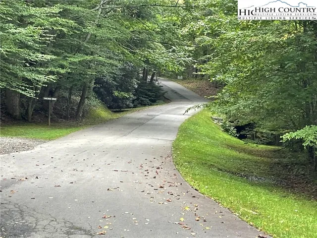 a view of a park with large trees