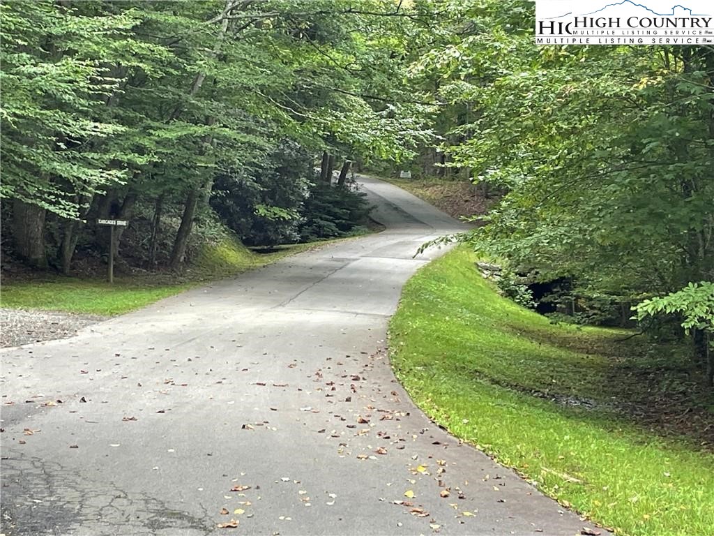 Wolfsbane Trail Todd, NC 28684 - Photo 8 of 29 a view of a park with large trees