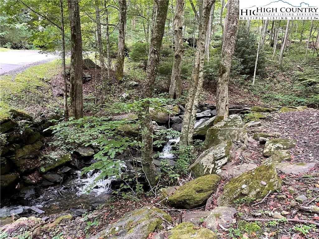 Wolfsbane Trail Todd, NC 28684 - Photo 9 of 29 a view of outdoor space and garden