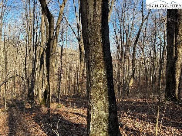a view of a backyard of the house