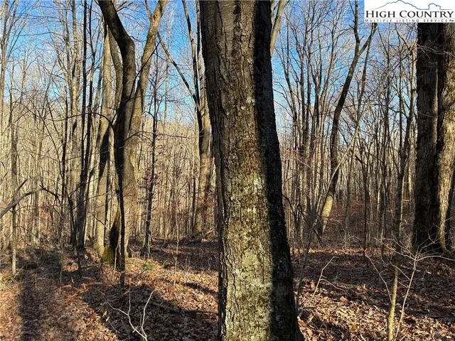 a view of a backyard of the house