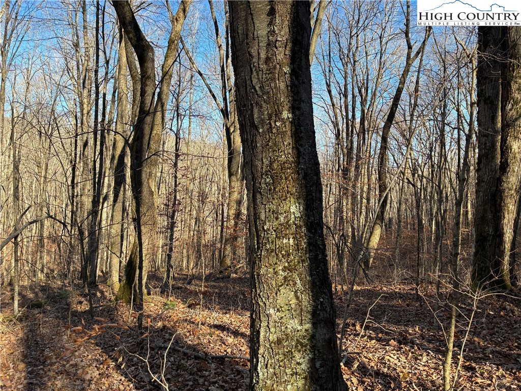 Wolfsbane Trail Todd, NC 28684 - Photo 10 of 29 a view of a backyard of the house