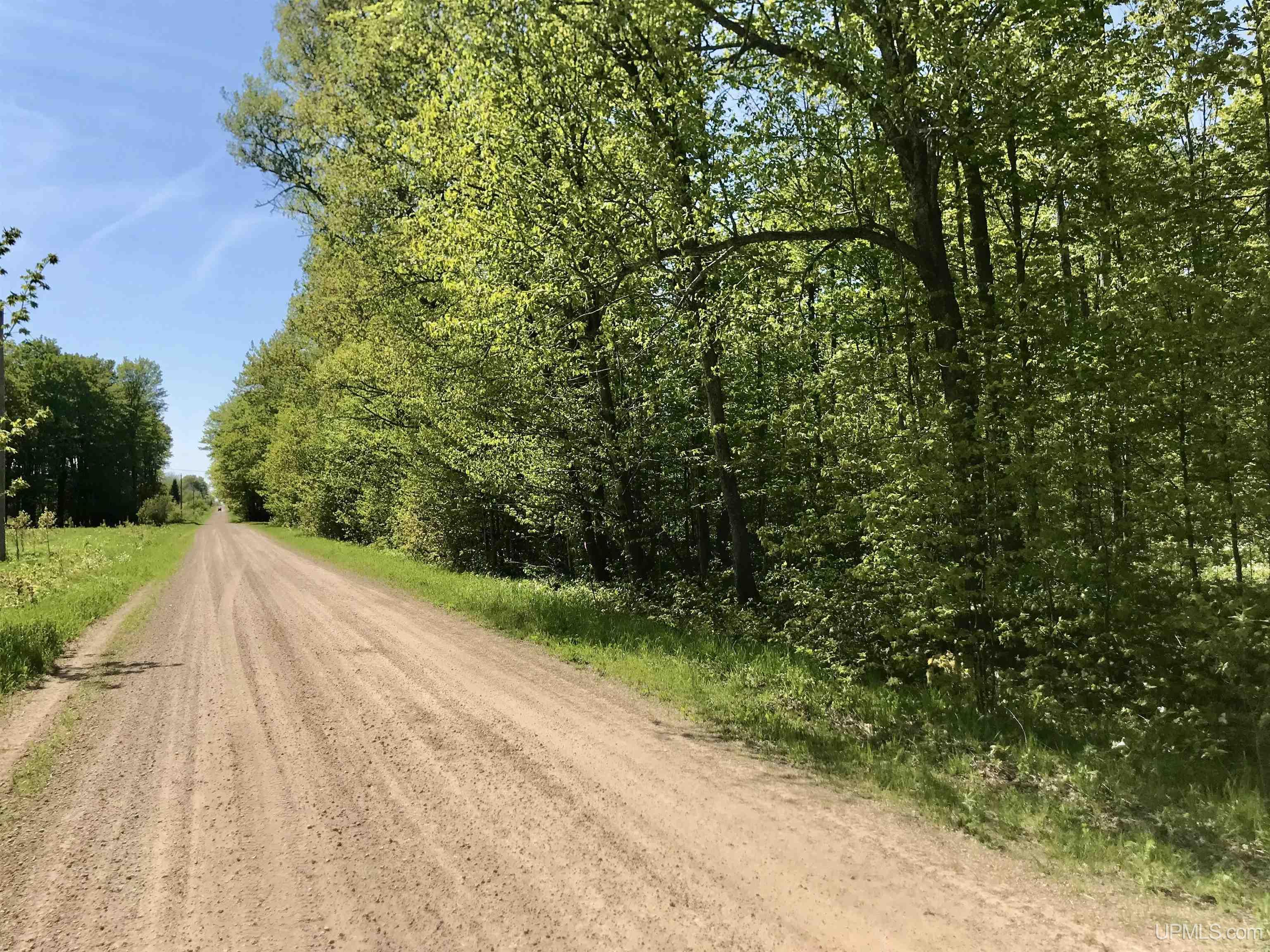 Tbd Tbd Storm Road Chatham, MI 49816 - Photo 2 of 11